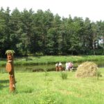 Перелік платних послуг які надаються у ЗСР “Козулька”