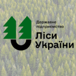 Державне агентство лісових ресурсів України: діяльність і проекти