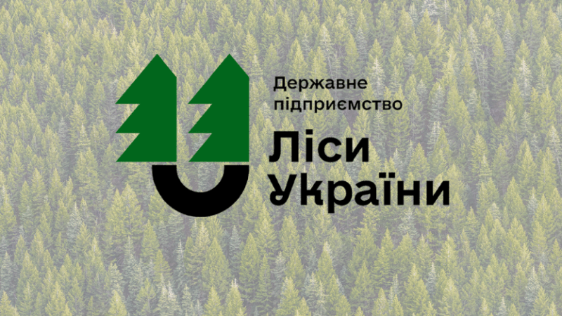 Державне агентство лісових ресурсів України: діяльність і проекти