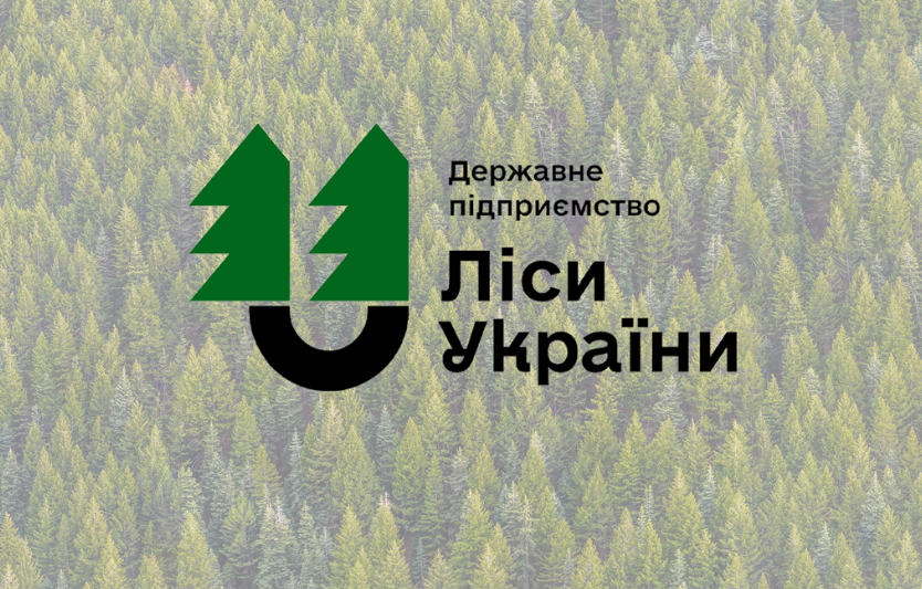 Державне агентство лісових ресурсів України: діяльність і проекти
