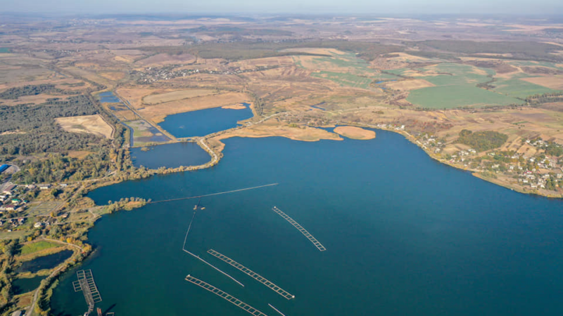 Бурштинське водосховище: природні особливості та значення